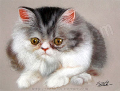 gato persa - desenho a giz pastel