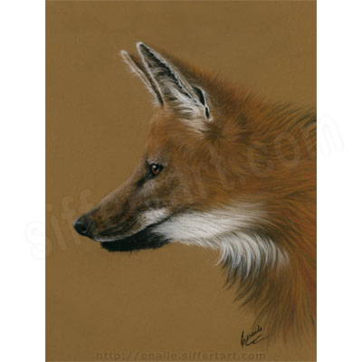 maned wolf - soft pastels drawing